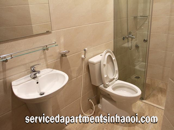 Căn hộ dịch vụ 1 phòng ngủ rất rộng và nội thất đẹp cho thuê tại trung tâm quận Hai Bà Trưng 9