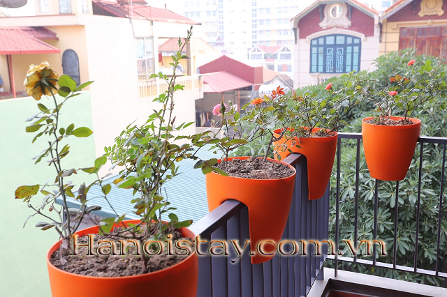 Cho thuê căn hộ dịch vụ từ 1 - 2 phòng ngủ tại Hoàng Quốc Việt , Cầu Giấy 6