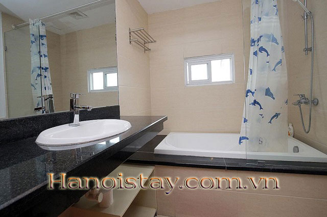 Căn hộ 1 phòng ngủ cao cấp tại Trương Hán Siêu, Hai Bà Trưng cho thuê chuyên nghiệp 4