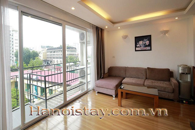 Căn hộ 1 phòng ngủ cao cấp tại Trương Hán Siêu, Hai Bà Trưng cho thuê chuyên nghiệp 8