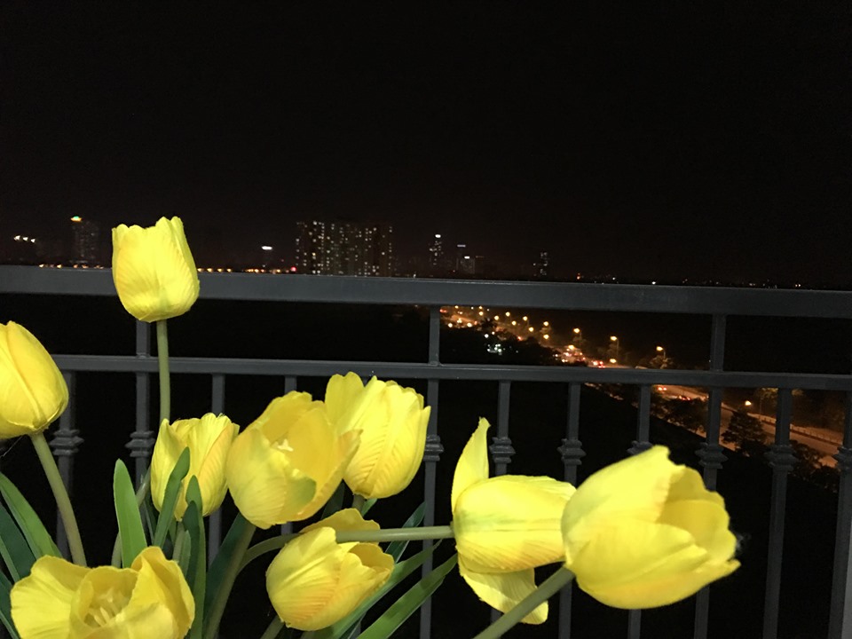 Căn hộ 2 phòng ngủ đẳng cấp tại Vinhome Greenbay cho thuê giá rẻ bất ngờ 3