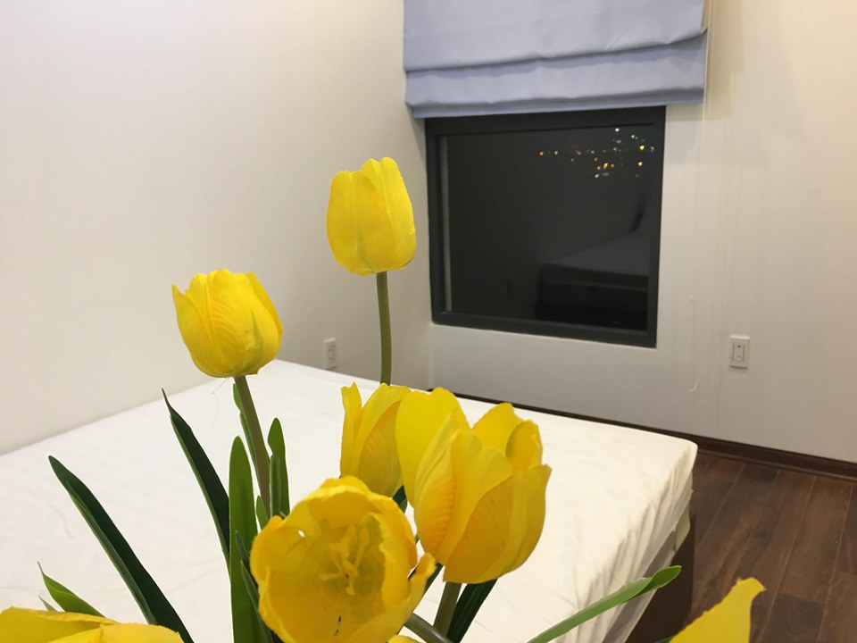 Căn hộ 2 phòng ngủ đẳng cấp tại Vinhome Greenbay cho thuê giá rẻ bất ngờ 6