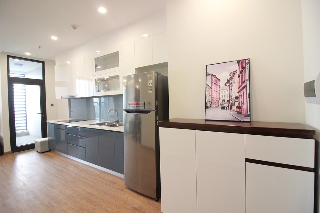 Căn hộ 1 ngủ tại Vinhome Metropolis Liễu Giai cho người nước ngoài thuê, view cực đẹp 5