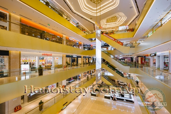 Cho thuê căn hộ cao cấp 2 PN Vinhomes D Capitale, môi trường văn minh, Tiện ích đẳng cấp 41