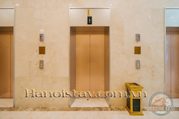 Cho thuê căn hộ cao cấp 2 PN Vinhomes D Capitale, môi trường văn minh, Tiện ích đẳng cấp 51