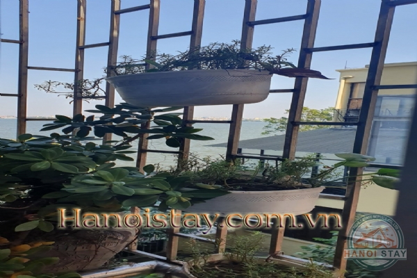 Nhà riêng chính chủ cho thuê tại phố Thụy Khuê, quận Ba Đình với 3 phòng ngủ full đồ hiện đại 15