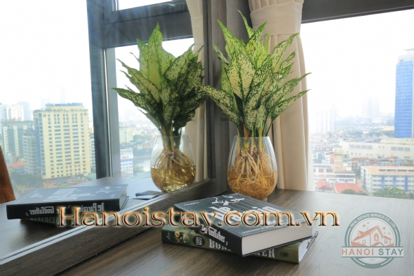 Căn hộ chính chủ tại Vinhome Metropolis cho thuê giá cạnh tranh, 3 phòng ngủ rộng rãi 2