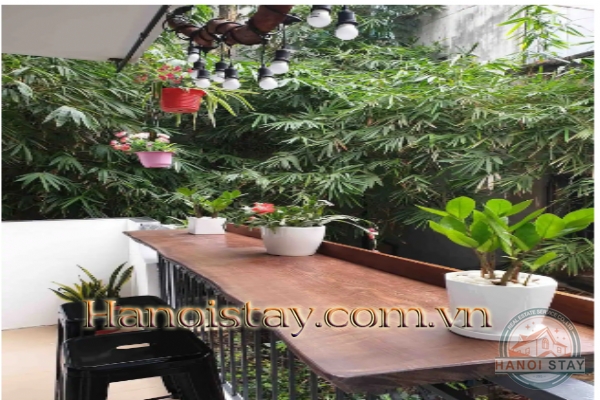 Cho thuê nhà riêng tại phố Cổ 5 phòng ngủ phong cách thiết kế hiện đại độc đáo 2