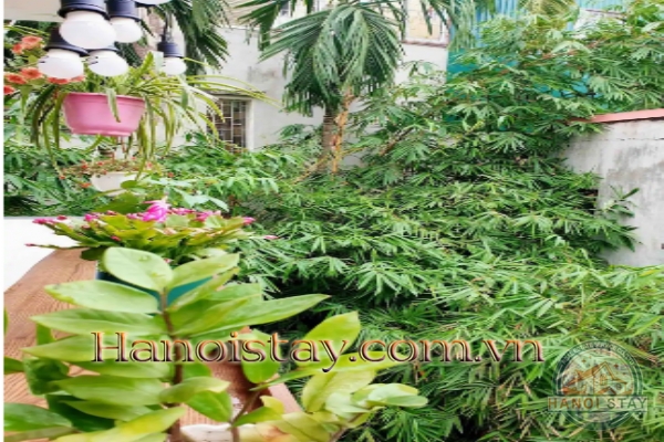 Cho thuê nhà riêng tại phố Cổ 5 phòng ngủ phong cách thiết kế hiện đại độc đáo 22