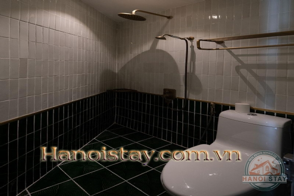 Cho thuê căn hộ thiết kế độc đáo với 2 phòng ngủ tại quận Hoàn Kiếm 13