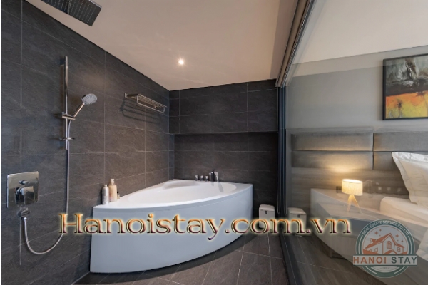Cho thuê căn hộ chung cư cao cấp douplex view Hồ Tây và sông Hồng 9