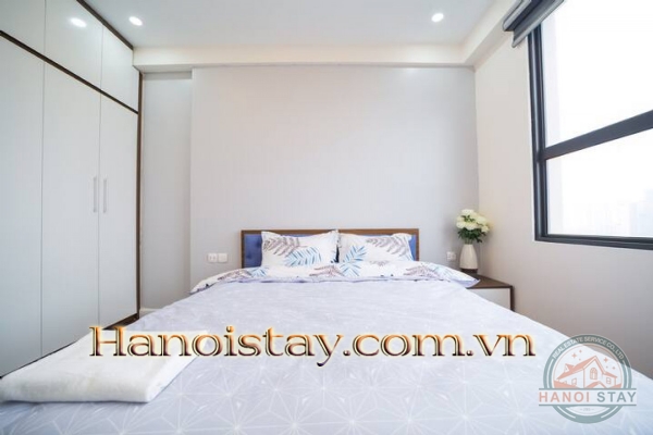 Cho thuê căn hộ 2PN Vinhomes D Capitale không gian mở liên hoàn kết nối với thiên nhiên 3