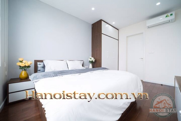Cho thuê căn hộ 2PN Vinhomes D Capitale không gian mở liên hoàn kết nối với thiên nhiên 11