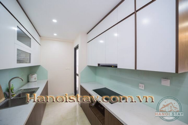 Cho thuê căn hộ 2PN Vinhomes D Capitale không gian mở liên hoàn kết nối với thiên nhiên 17