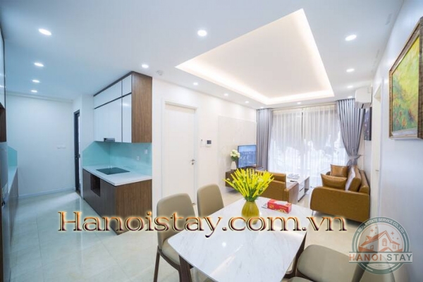 Cho thuê căn hộ 2PN Vinhomes D Capitale không gian mở liên hoàn kết nối với thiên nhiên 31