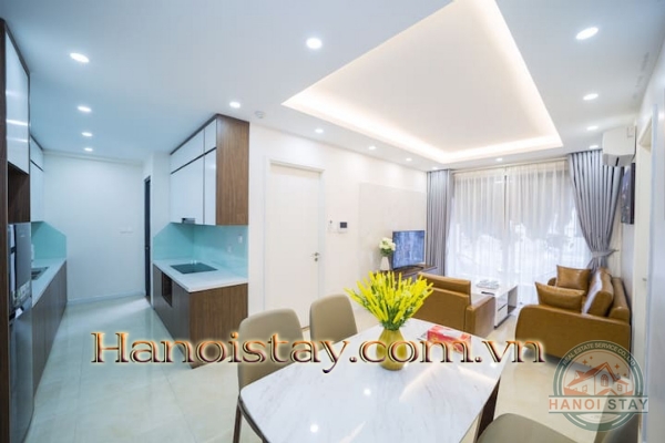 Cho thuê căn hộ 2PN Vinhomes D Capitale không gian mở liên hoàn kết nối với thiên nhiên 33