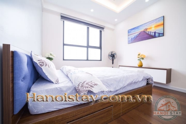Cho thuê căn hộ 2PN Vinhomes D Capitale không gian mở liên hoàn kết nối với thiên nhiên 38