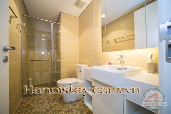 Cho thuê căn hộ 2PN Vinhomes D Capitale không gian mở liên hoàn kết nối với thiên nhiên 41
