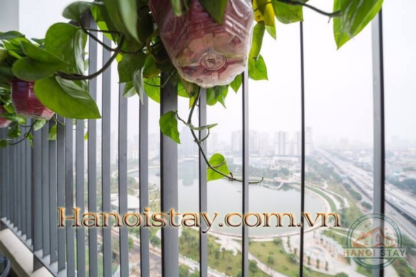 Cho thuê căn hộ 2PN Vinhomes D Capitale không gian mở liên hoàn kết nối với thiên nhiên 43