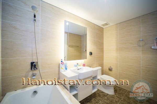 Cho thuê căn hộ 2PN Vinhomes D Capitale không gian mở liên hoàn kết nối với thiên nhiên 52