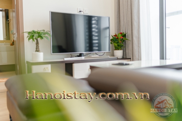 Cho thuê Căn hộ Vinhomes Skylake theo ngày và ngắn hạn, cân xứng tuyệt hảo trong thiết kế 33