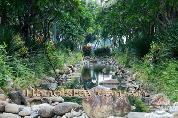 Cho thuê căn hộ chung cư theo ngày, tháng, năm tại Times City - Park Hill sở hữu không gian sống đáng mơ ước 5