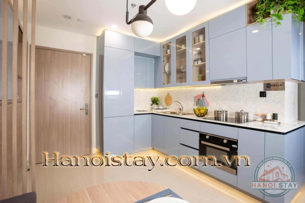 Cho thuê hoặc Bán căn hộ tiện nghi 2PN tòa T8 - Vinhomes Times City, Tối đa không gian 19
