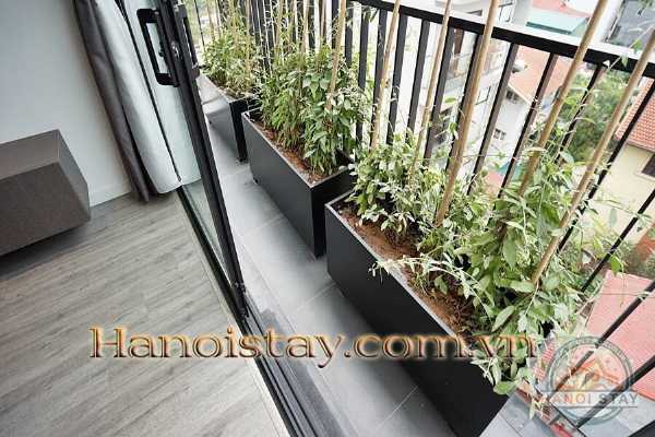 Căn hộ dịch vụ 1PN cho thuê tại khu vực phố đi bộ Trịnh Công Sơn, Tây Hồ 10