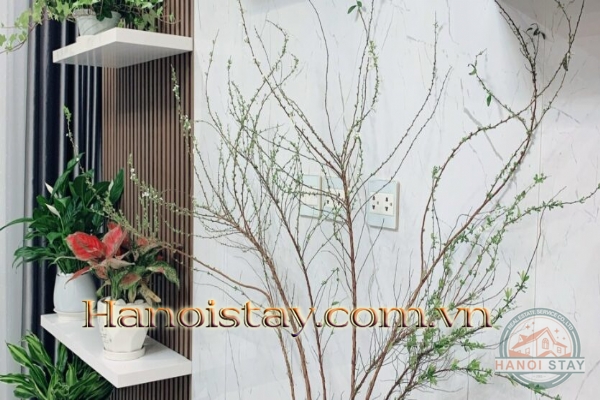 Căn hộ xinh xắn 86m2 cho thuê tại chung cư Sunshine City, tầng trung, nội thất cao cấp 6